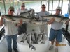 (09/09/2016) - Nice Striped Bass